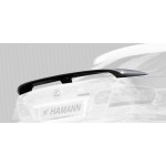 Οπίσθια αεροτομή καπό Hamann για BMW Σειρά 3 (E92) / M3 (E92) Οπίσθια αεροτομή καπό Hamann για BMW Σειρά 3 (E92) / M3 (E92)